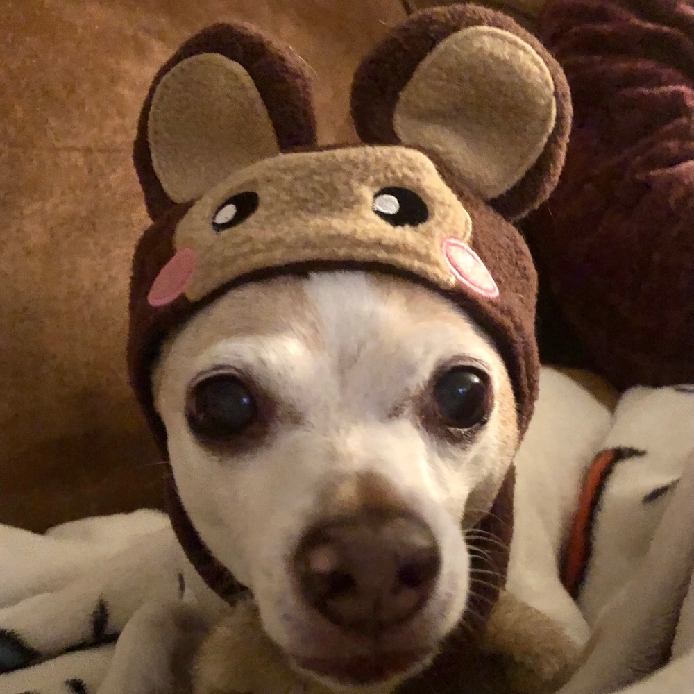 Meet your Posher, Bethany